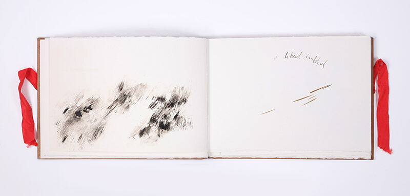 Livro 1