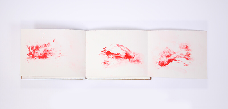 Livro 1