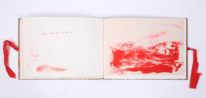Livro 1