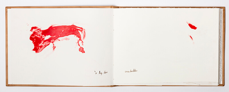 Livro 2