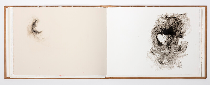 Livro 2